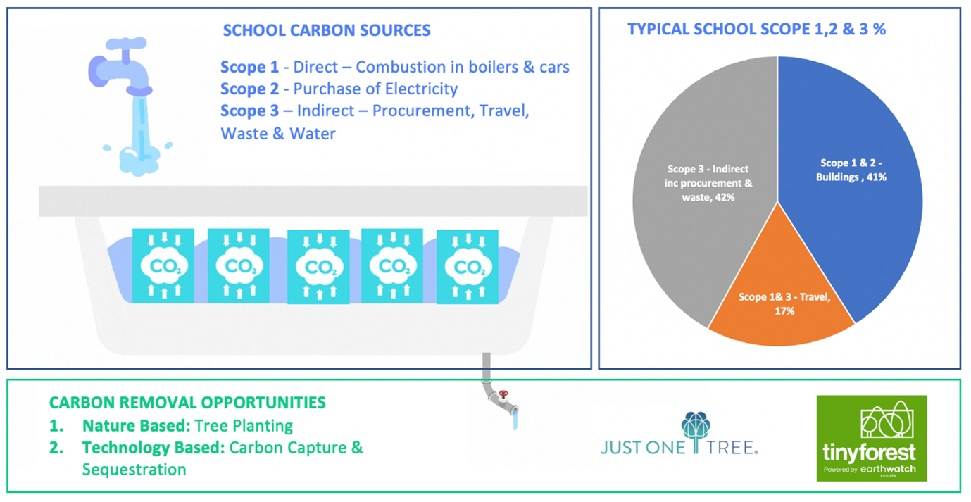 carbon-sources