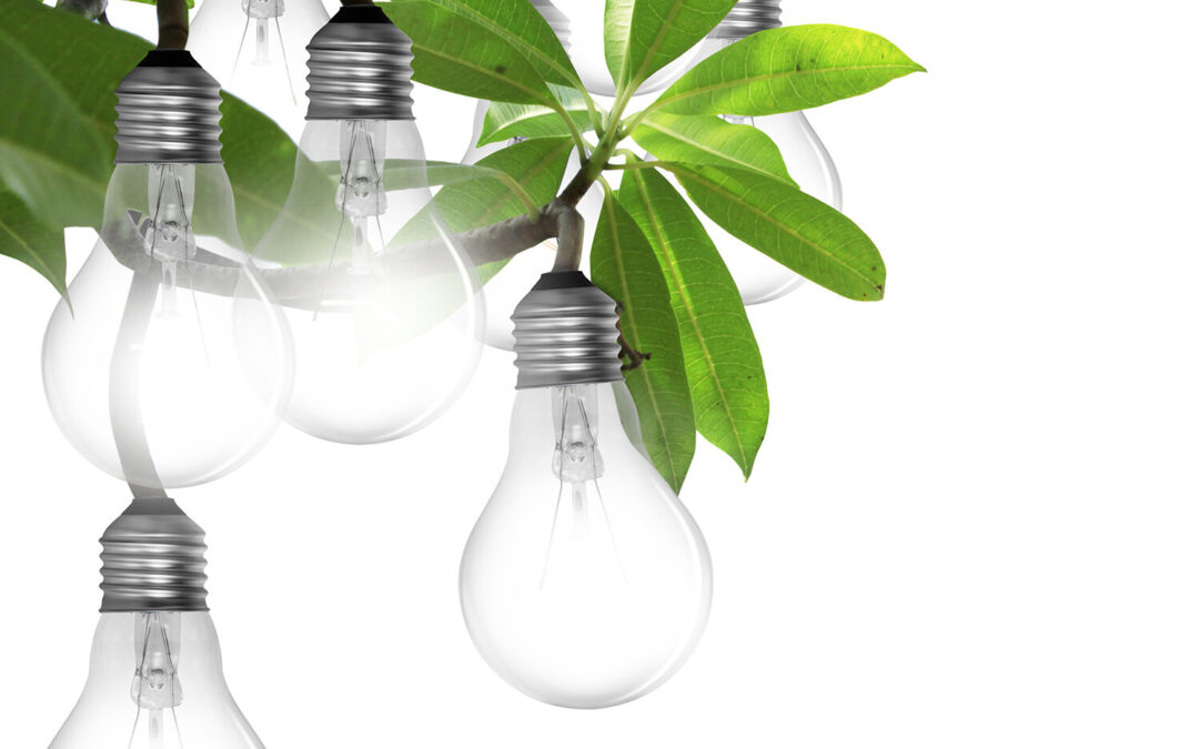 Part 2 – Quick Wins & Simple changes to reduce energy consumption