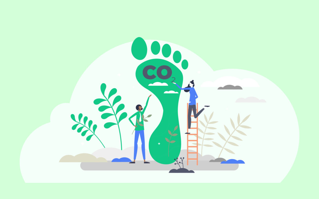 What is SECR and why are Academies being asked to report on their Carbon Footprint?